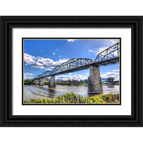 Walnut Left 2 HDR Black Ornate Wood Framed Art Print with Double Matting by Lee, Rachel