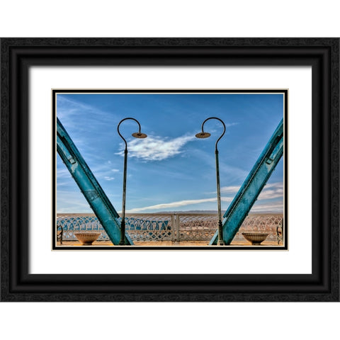 Walnut Love Black Ornate Wood Framed Art Print with Double Matting by Lee, Rachel