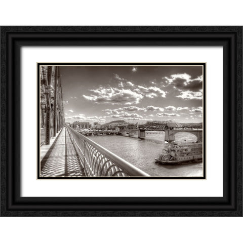Walnut To Lookout Sepia Black Ornate Wood Framed Art Print with Double Matting by Lee, Rachel