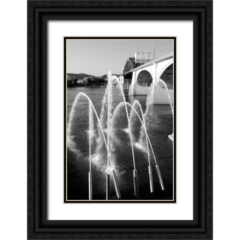 Water Cannons BW Black Ornate Wood Framed Art Print with Double Matting by Lee, Rachel