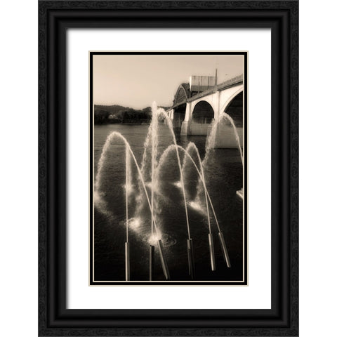 Water Cannons Sepia Black Ornate Wood Framed Art Print with Double Matting by Lee, Rachel