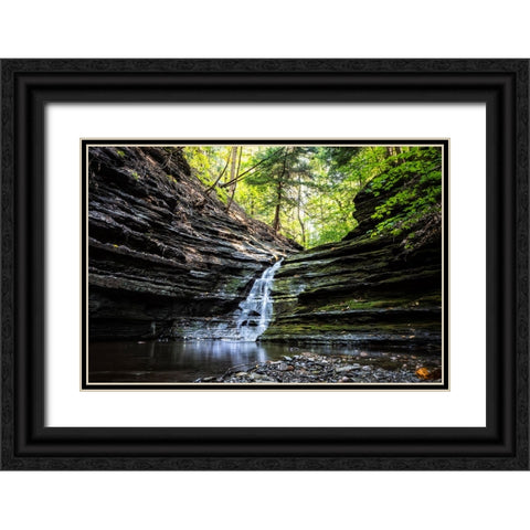 Waterfall 1 Black Ornate Wood Framed Art Print with Double Matting by Lee, Rachel
