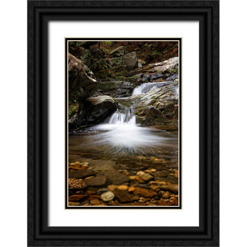 Waterfall 11 Black Ornate Wood Framed Art Print with Double Matting by Lee, Rachel