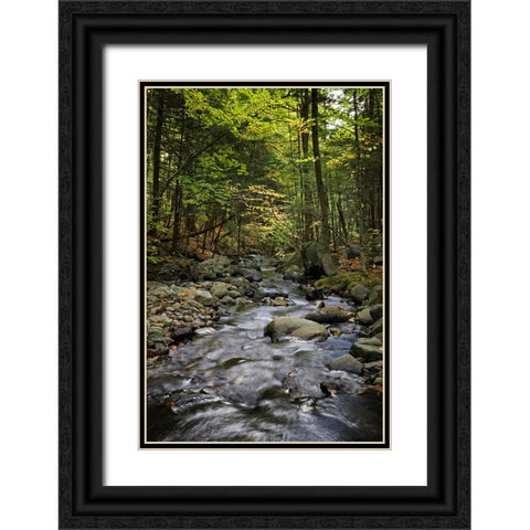 Waterfall 13 Black Ornate Wood Framed Art Print with Double Matting by Lee, Rachel