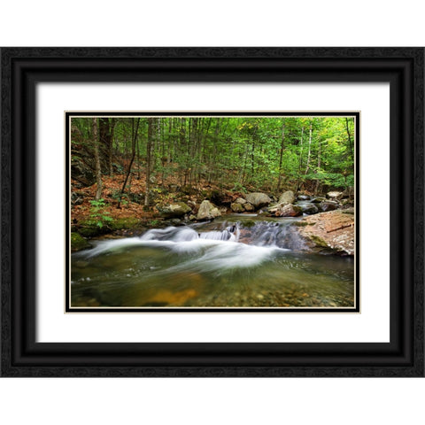 Waterfall 15 Black Ornate Wood Framed Art Print with Double Matting by Lee, Rachel