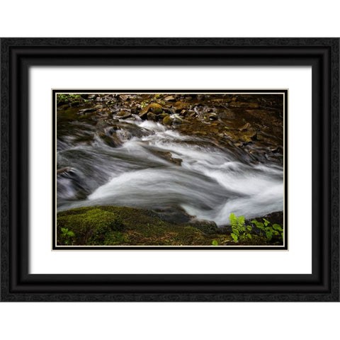 Waterfall 2 Black Ornate Wood Framed Art Print with Double Matting by Lee, Rachel