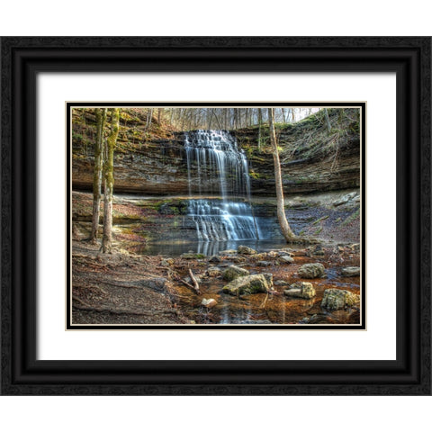 Waterfall 20 Black Ornate Wood Framed Art Print with Double Matting by Lee, Rachel
