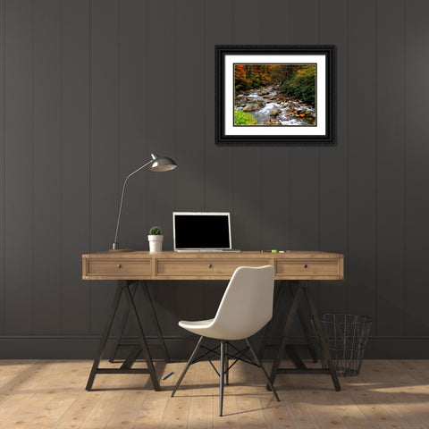 Waterfall 23 Black Ornate Wood Framed Art Print with Double Matting by Lee, Rachel