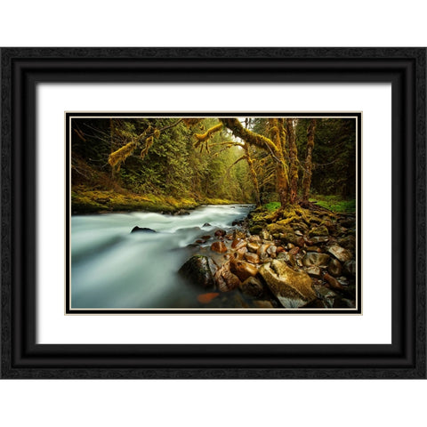 Waterfall 24 Black Ornate Wood Framed Art Print with Double Matting by Lee, Rachel