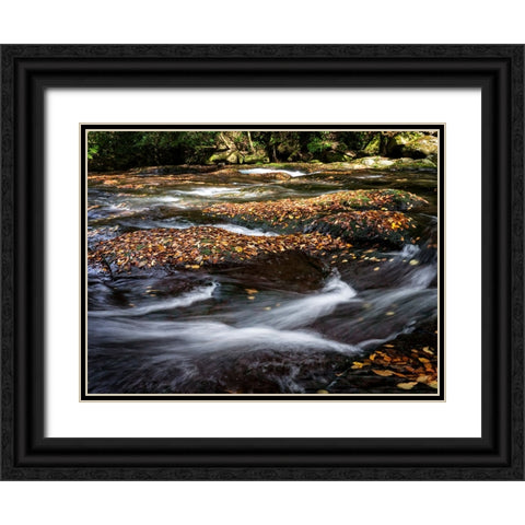 Waterfall 25 Black Ornate Wood Framed Art Print with Double Matting by Lee, Rachel
