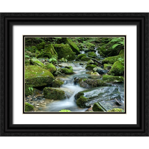 Waterfall 26 Black Ornate Wood Framed Art Print with Double Matting by Lee, Rachel