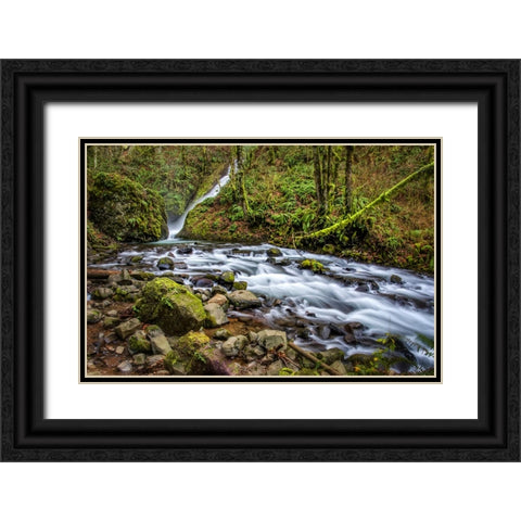 Waterfall 27 Black Ornate Wood Framed Art Print with Double Matting by Lee, Rachel