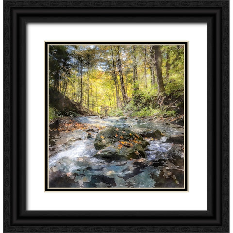 Waterfall 28 Black Ornate Wood Framed Art Print with Double Matting by Lee, Rachel