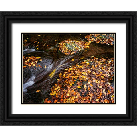 Waterfall 29 Black Ornate Wood Framed Art Print with Double Matting by Lee, Rachel