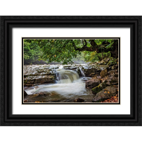 Waterfall 30 Black Ornate Wood Framed Art Print with Double Matting by Lee, Rachel