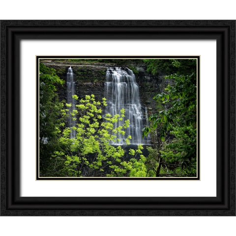 Waterfall 34 Black Ornate Wood Framed Art Print with Double Matting by Lee, Rachel
