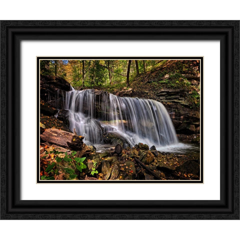 Waterfall 36 Black Ornate Wood Framed Art Print with Double Matting by Lee, Rachel