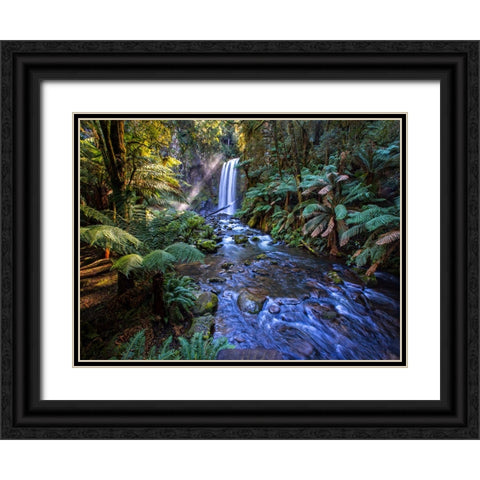 Waterfall 41 Black Ornate Wood Framed Art Print with Double Matting by Lee, Rachel