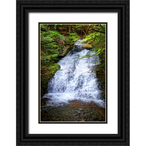 Waterfall 5 Black Ornate Wood Framed Art Print with Double Matting by Lee, Rachel
