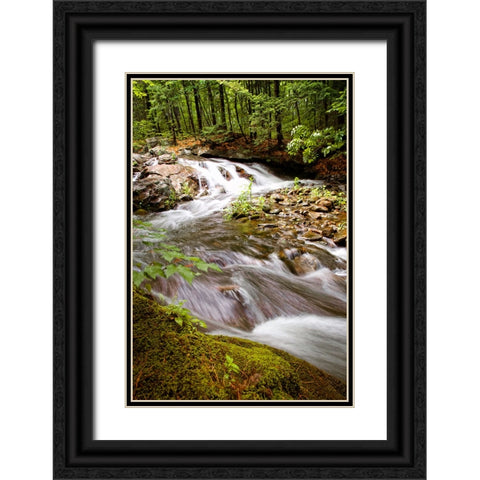 Waterfall 9 Black Ornate Wood Framed Art Print with Double Matting by Lee, Rachel