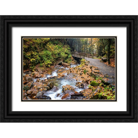 Waterfall And Walking Path Black Ornate Wood Framed Art Print with Double Matting by Lee, Rachel