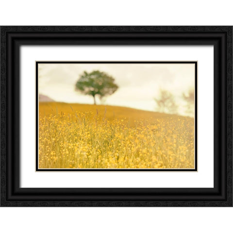 Yellow Meadow Black Ornate Wood Framed Art Print with Double Matting by Lee, Rachel