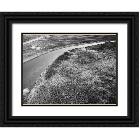 Monochrome Marsh Black Ornate Wood Framed Art Print with Double Matting by Malone, Will