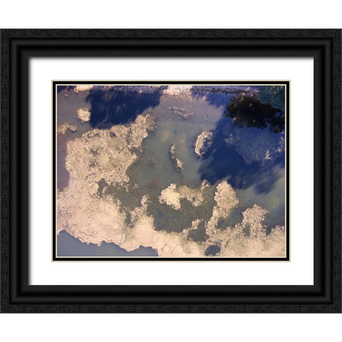 Tennessee River 2 Black Ornate Wood Framed Art Print with Double Matting by Malone, Will