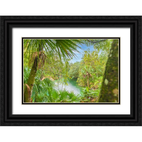 Blue Springs State Park 2 Black Ornate Wood Framed Art Print with Double Matting by Malone, Will