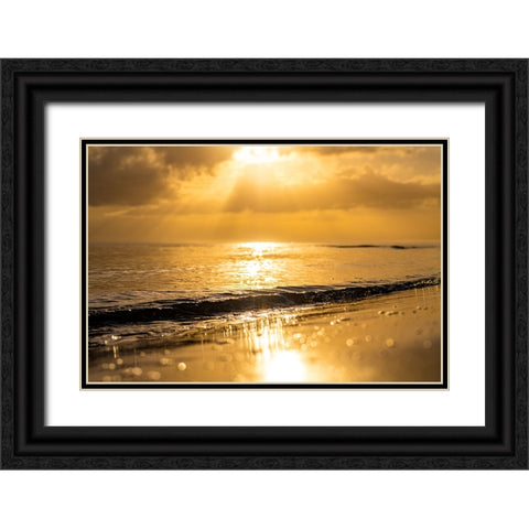 Golden Black Ornate Wood Framed Art Print with Double Matting by Malone, Will