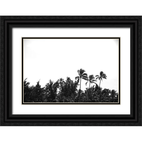 Lanikai Palms Black Ornate Wood Framed Art Print with Double Matting by Malone, Will