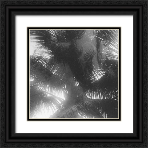 Palm 4 Black Ornate Wood Framed Art Print with Double Matting by Malone, Will