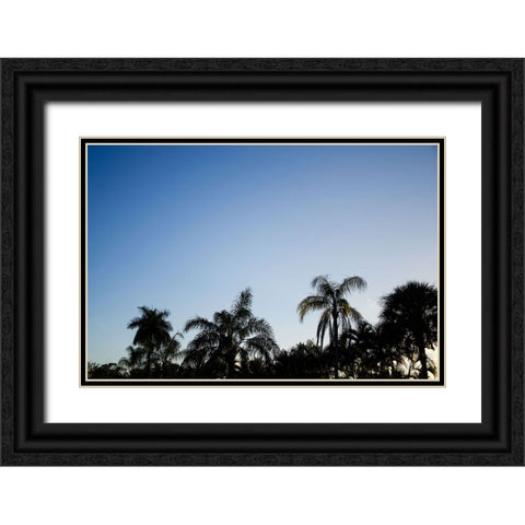 Palm Twilight Black Ornate Wood Framed Art Print with Double Matting by Malone, Will
