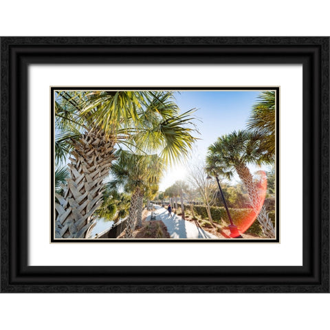 Palm Walk Sun Black Ornate Wood Framed Art Print with Double Matting by Malone, Will