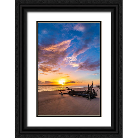 Rise Black Ornate Wood Framed Art Print with Double Matting by Malone, Will