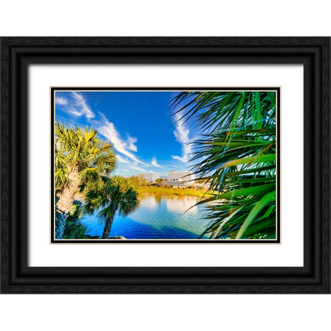 Cascades 2 Black Ornate Wood Framed Art Print with Double Matting by Malone, Will