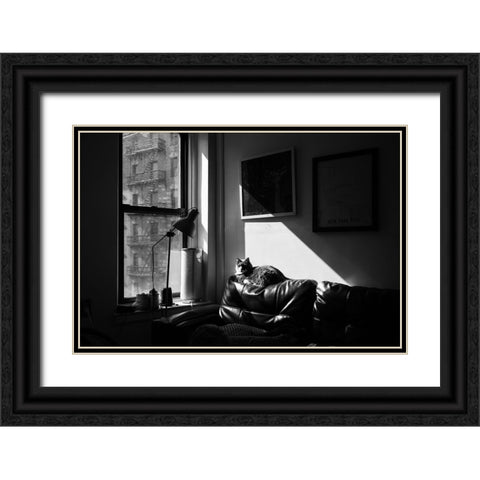 City Cat Black Ornate Wood Framed Art Print with Double Matting by Malone, Will