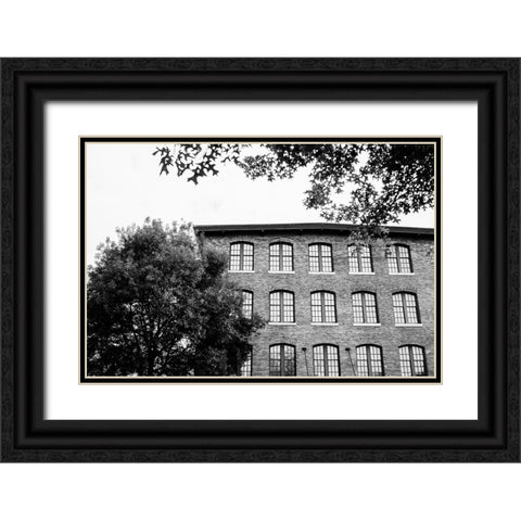Sunny Windows BW  Black Ornate Wood Framed Art Print with Double Matting by Malone, Will