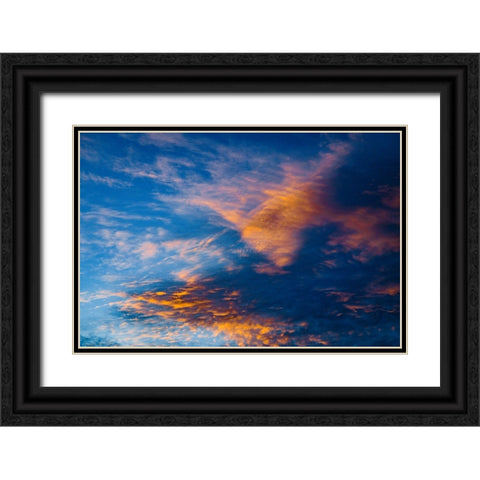 A New Day Black Ornate Wood Framed Art Print with Double Matting by Malone, Will