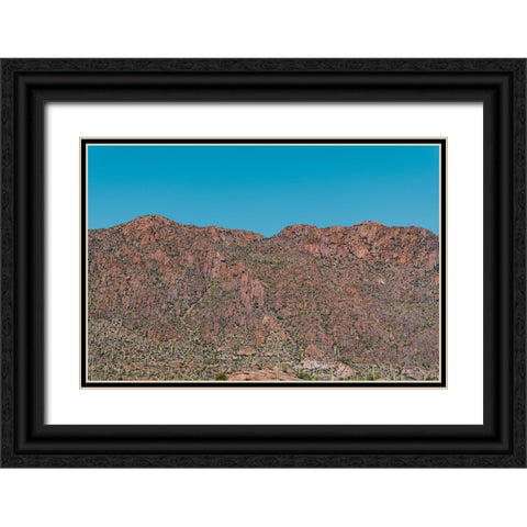 Cactus Mountain 1 Black Ornate Wood Framed Art Print with Double Matting by Malone, Will