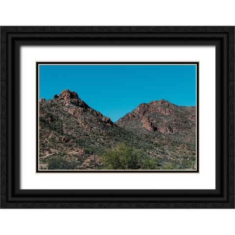 Cactus Mountain 2 Black Ornate Wood Framed Art Print with Double Matting by Malone, Will