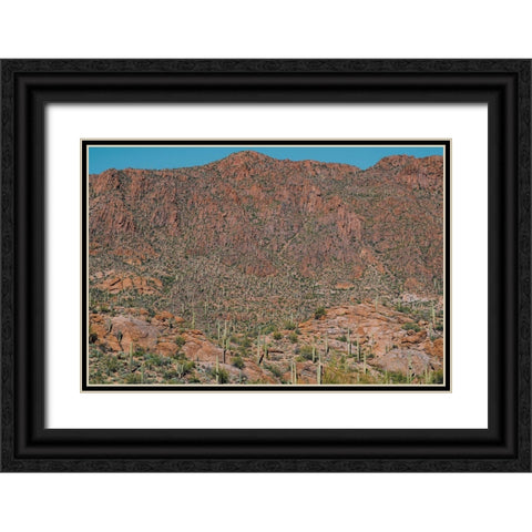 Cactus Mountain 3 Black Ornate Wood Framed Art Print with Double Matting by Malone, Will