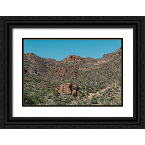 Cactus Mountain 4 Black Ornate Wood Framed Art Print with Double Matting by Malone, Will