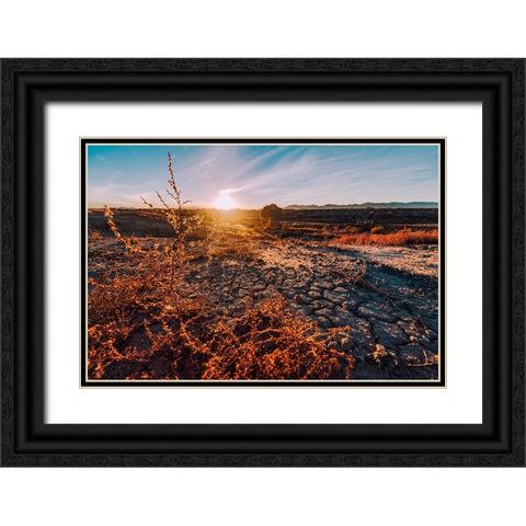 Desert Sunset 3 Black Ornate Wood Framed Art Print with Double Matting by Malone, Will