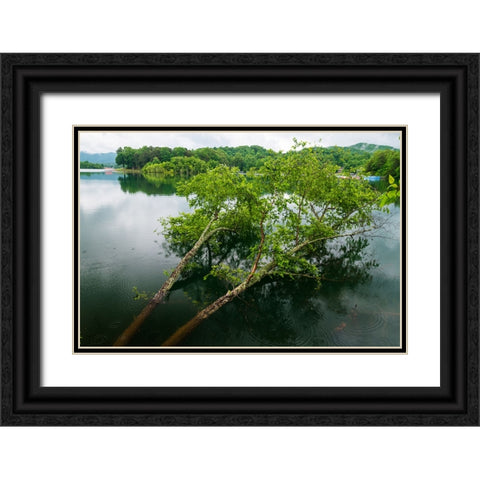 Fallen Black Ornate Wood Framed Art Print with Double Matting by Malone, Will