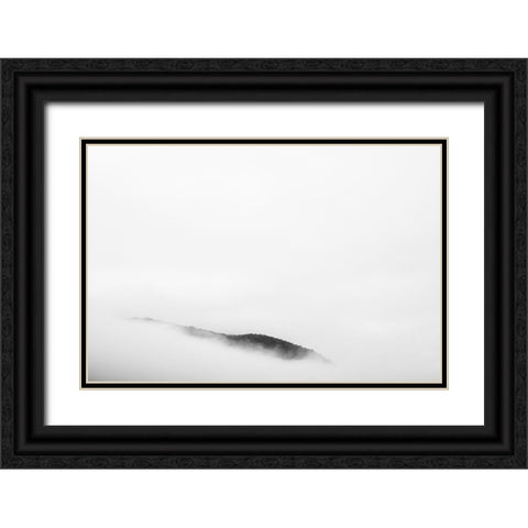 The Reveal Black Ornate Wood Framed Art Print with Double Matting by Malone, Will