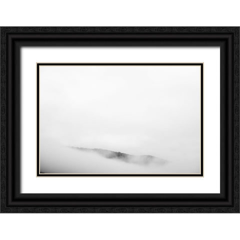 The Reveal 2 Black Ornate Wood Framed Art Print with Double Matting by Malone, Will