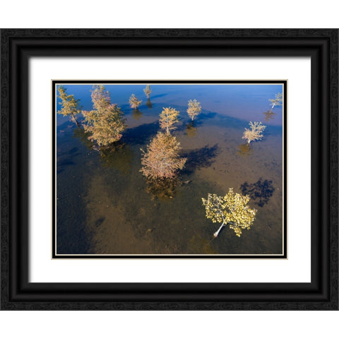 Fall Lake 2 Black Ornate Wood Framed Art Print with Double Matting by Malone, Will