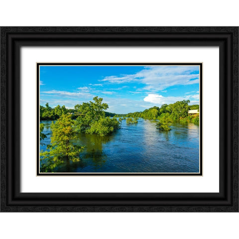 Blooming on the Coosa 3 Black Ornate Wood Framed Art Print with Double Matting by Malone, Will