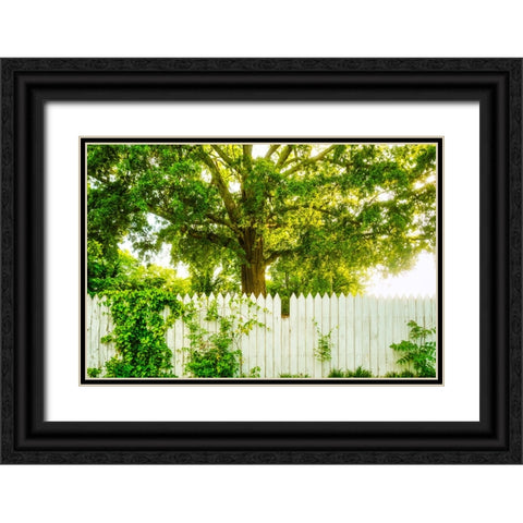 White Pickett Fence Black Ornate Wood Framed Art Print with Double Matting by Malone, Will